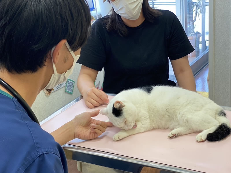 治療のご相談